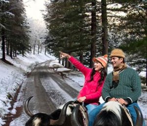 shimla manali honeymoon tour package from delhi